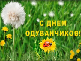 Желтое чудо: День одуванчика Желтое чудо: День одуванчика.